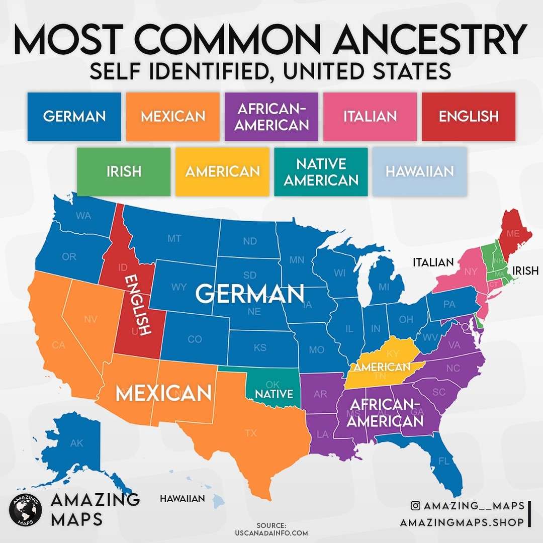 Most common self-declared ancestry in the US