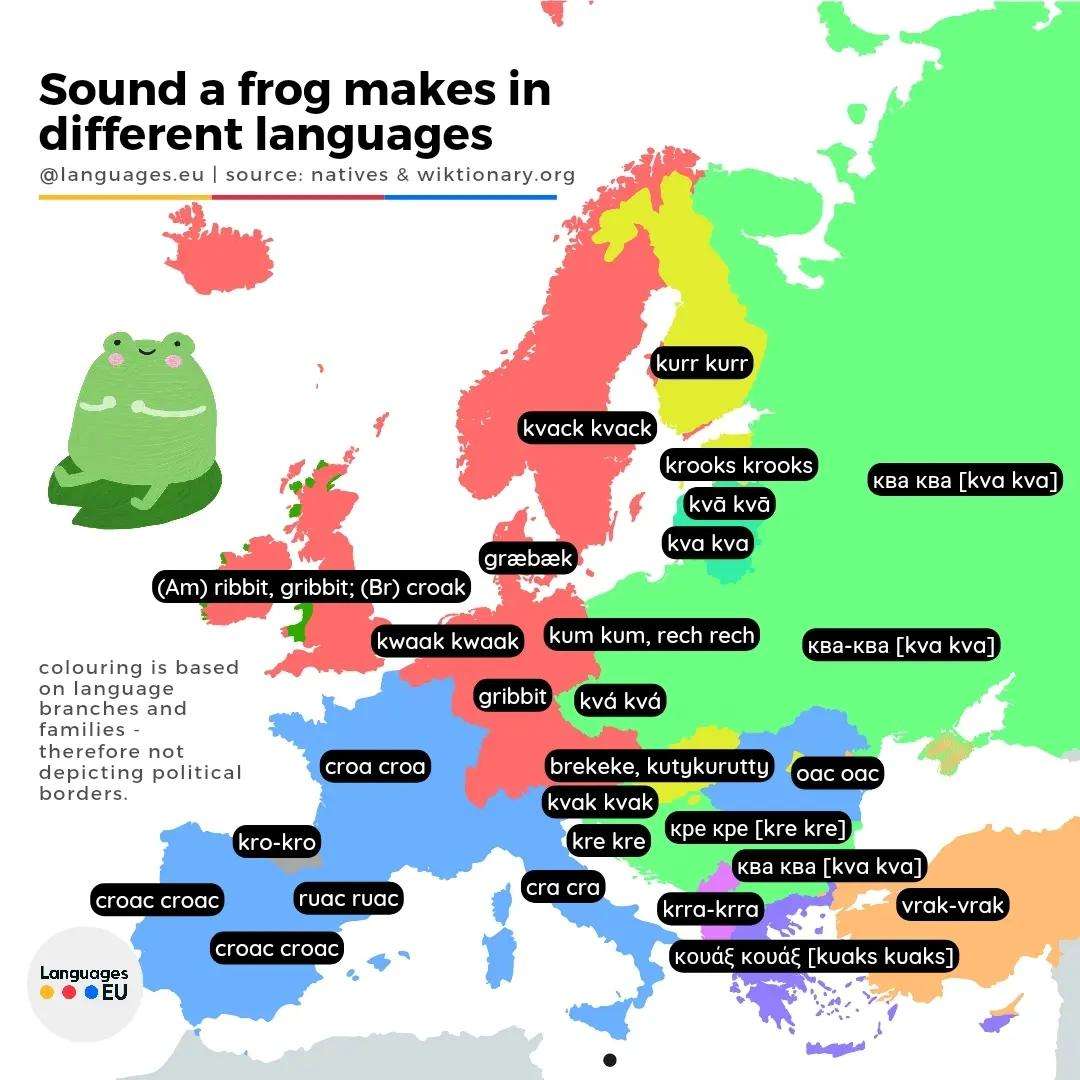 Sound of a frog in Europe, with Polish frog giving electro concert