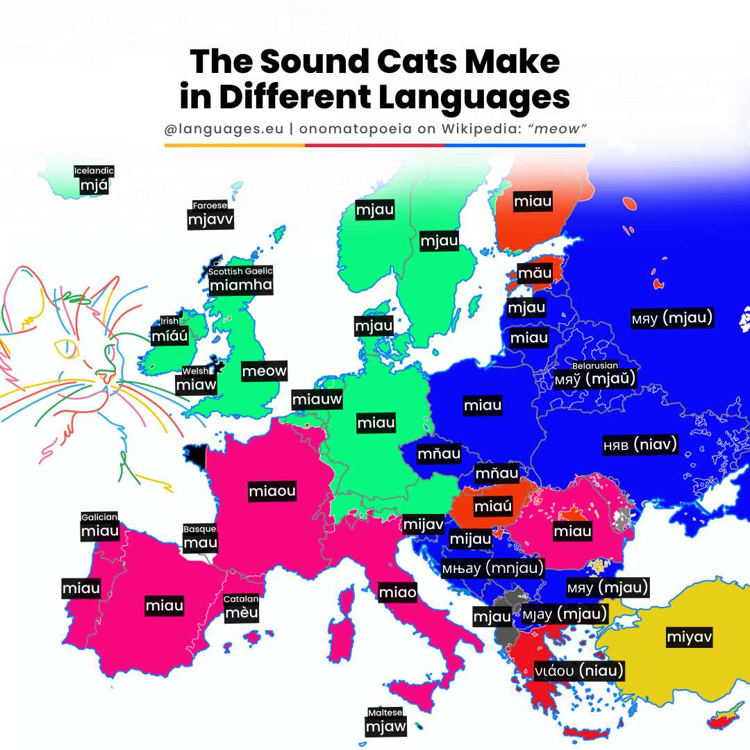 The sound cats make in different languages