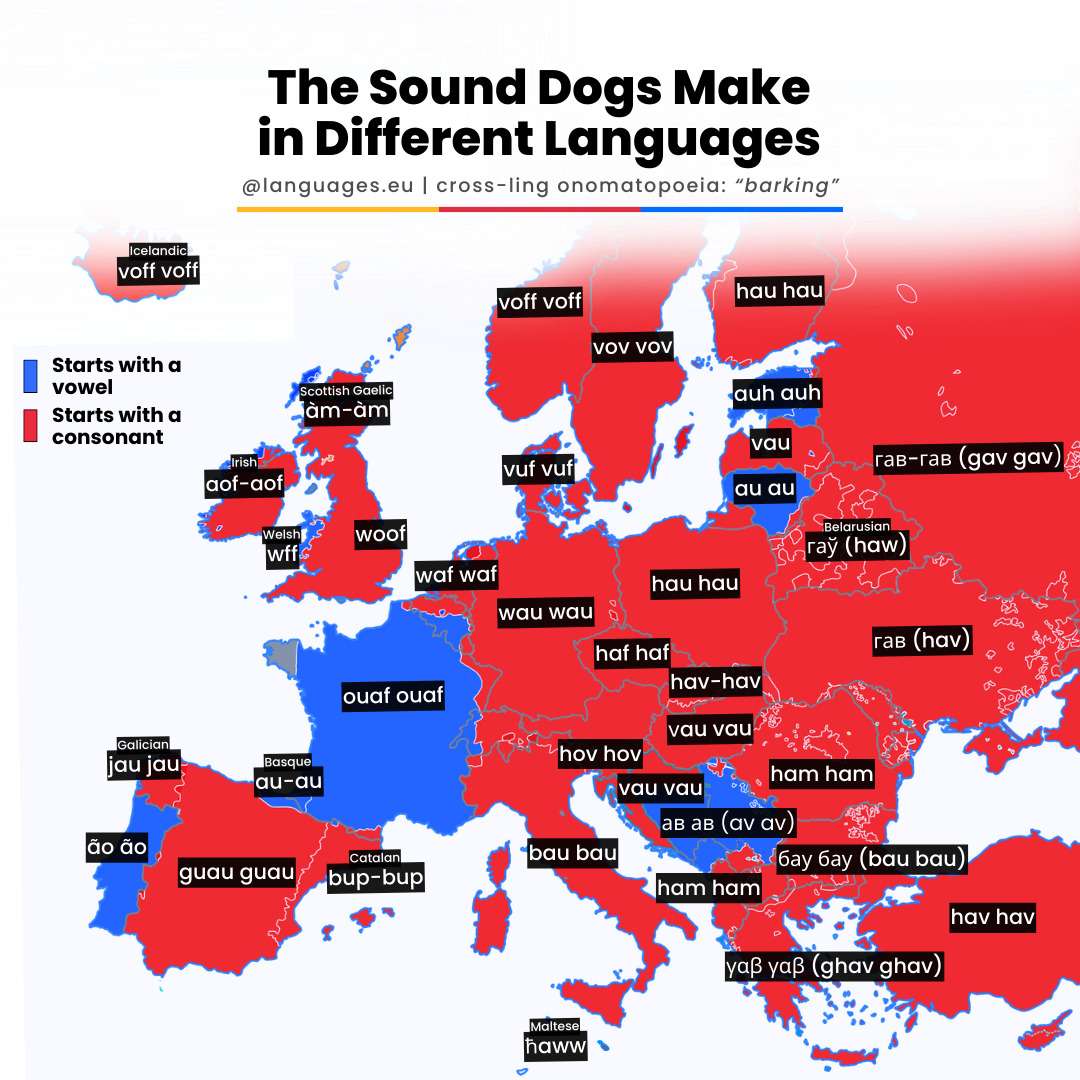 The sound dogs make in different languages