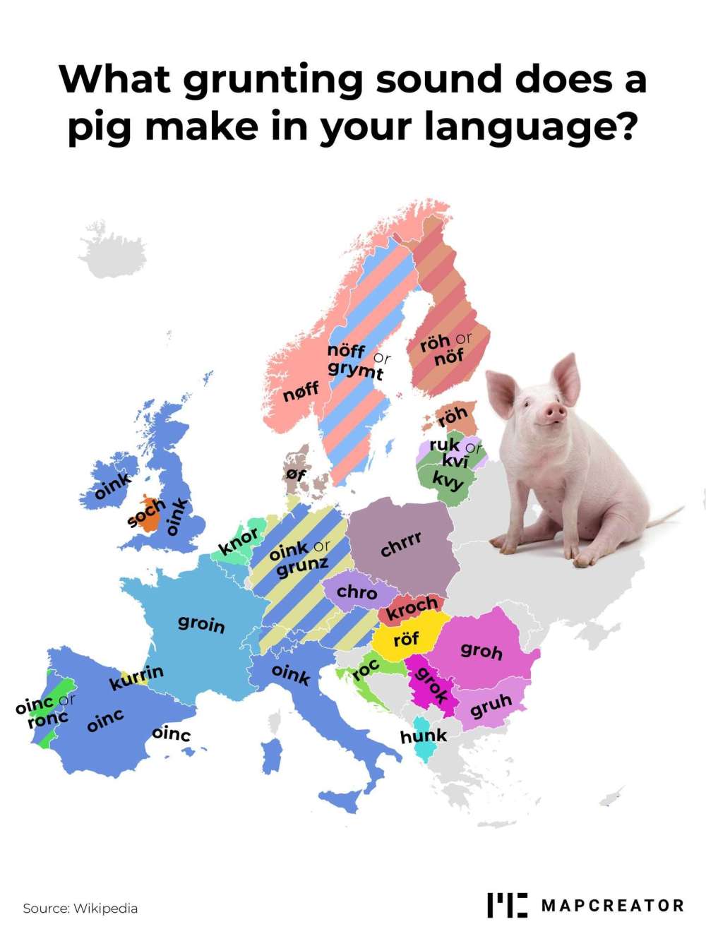 What grunting sound does a pig make in your language?
