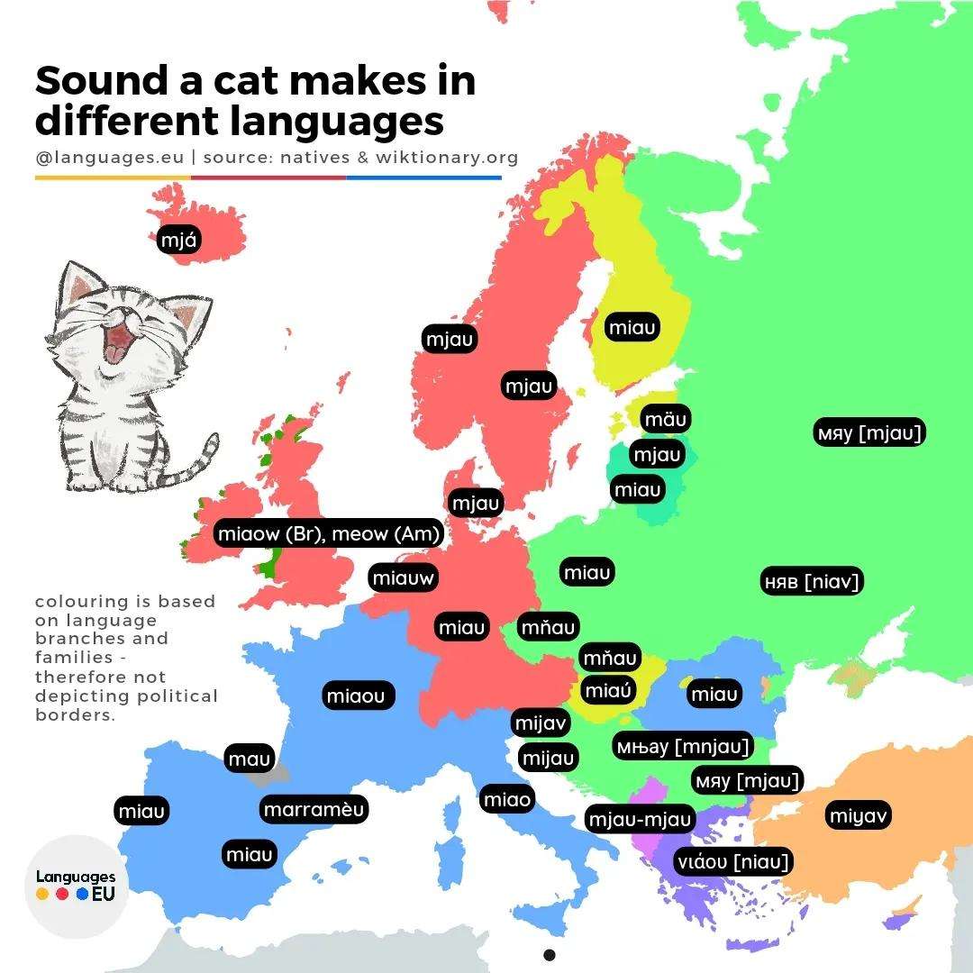 What sound does a cat make in different languages of Europe