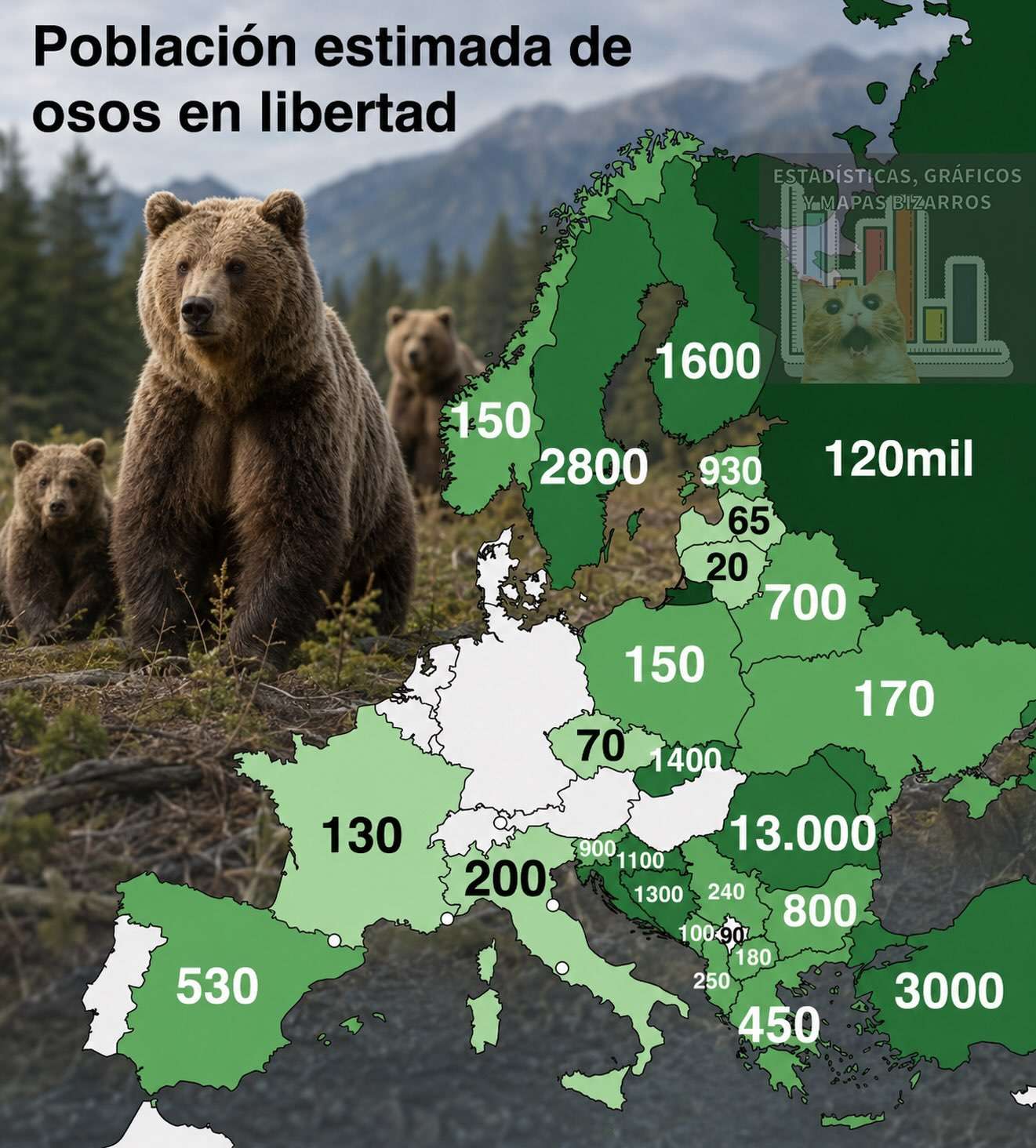 Bear Populations in Europe