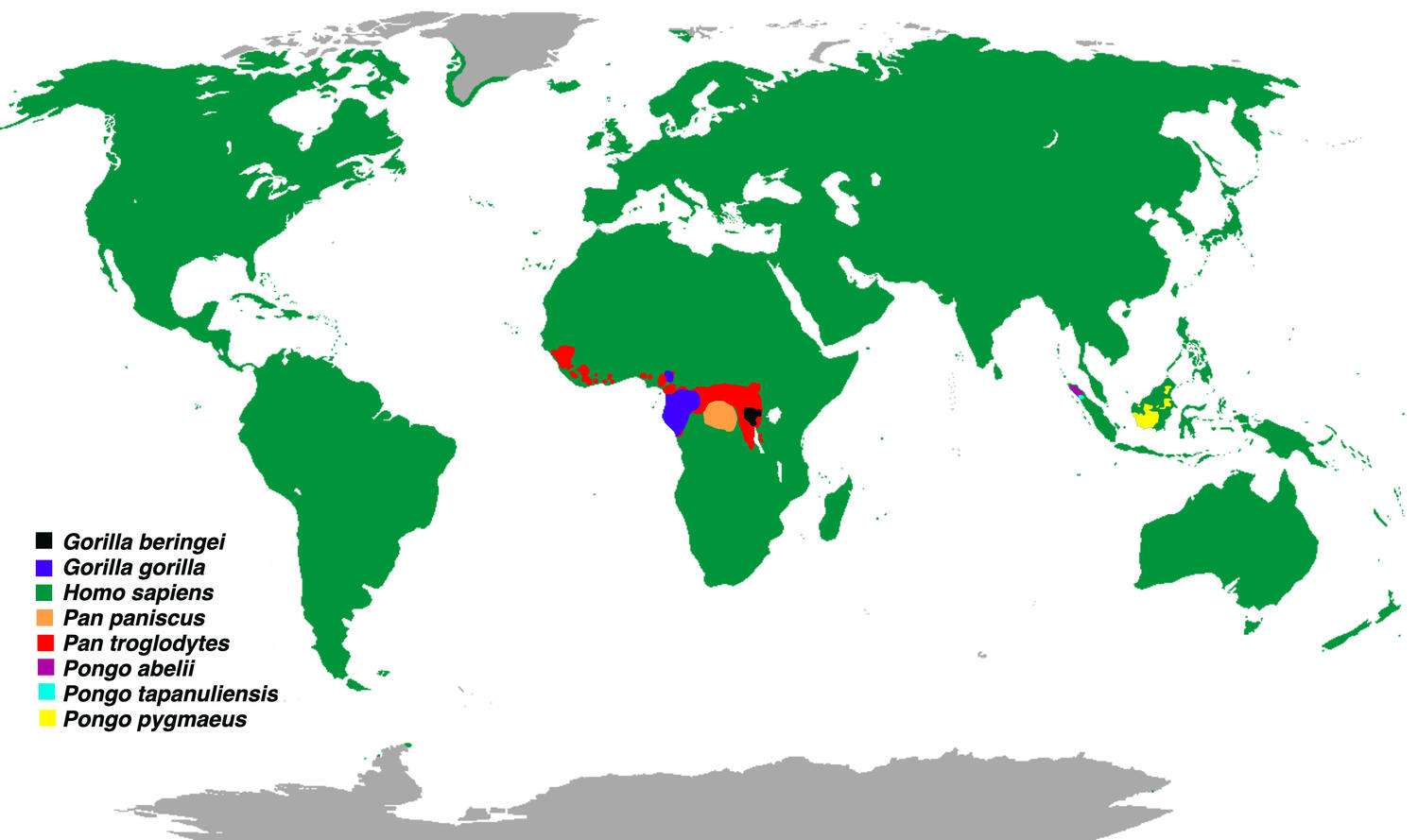 Distribution of the Great Apes or Extant Hominid species