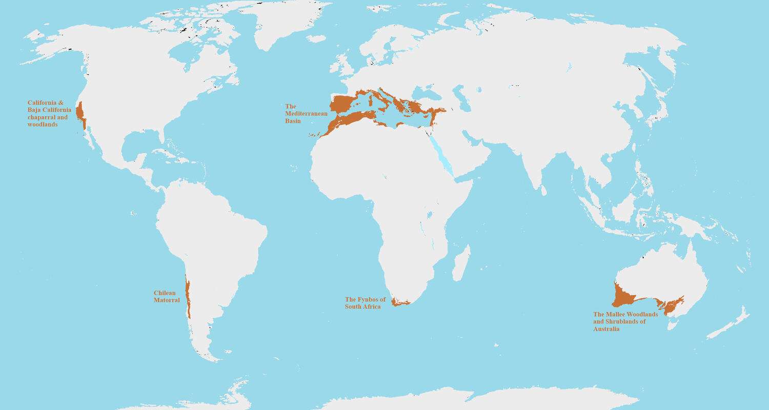 Mediterranean biomes around the world