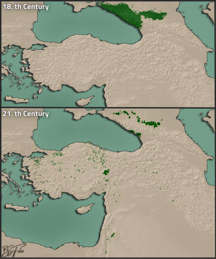 Circassian populated areas before and after the Circassian Genocide 