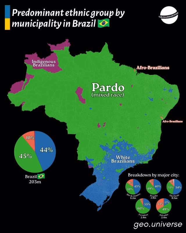 Predominant ethnic group by municipality in Brazil