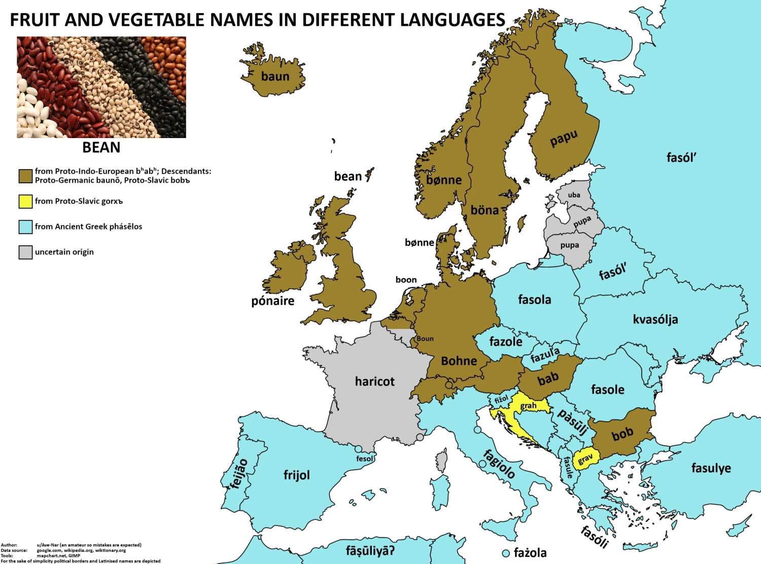 The word 'bean' in European languages.