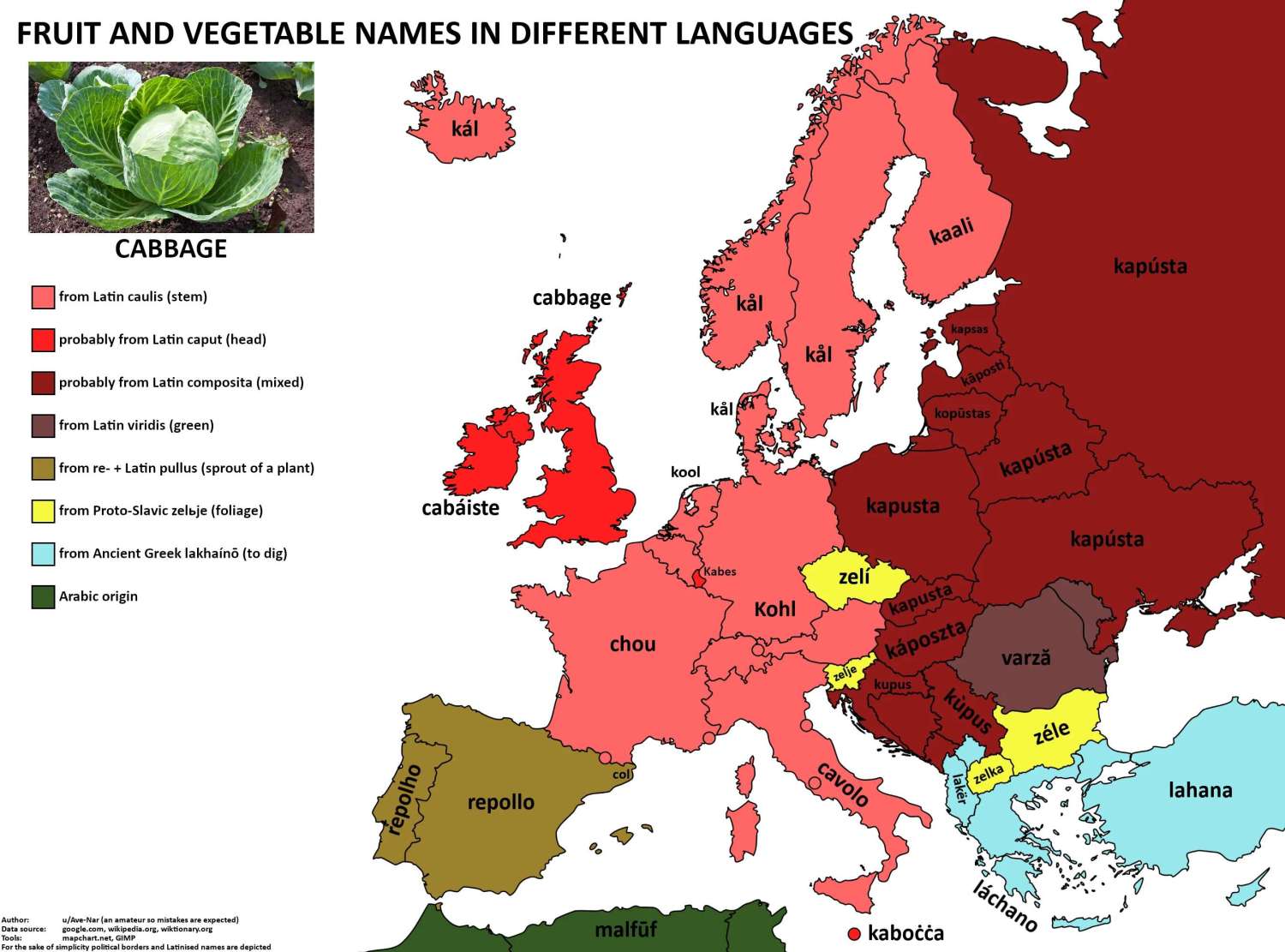 The word 'cabbage' in European languages.