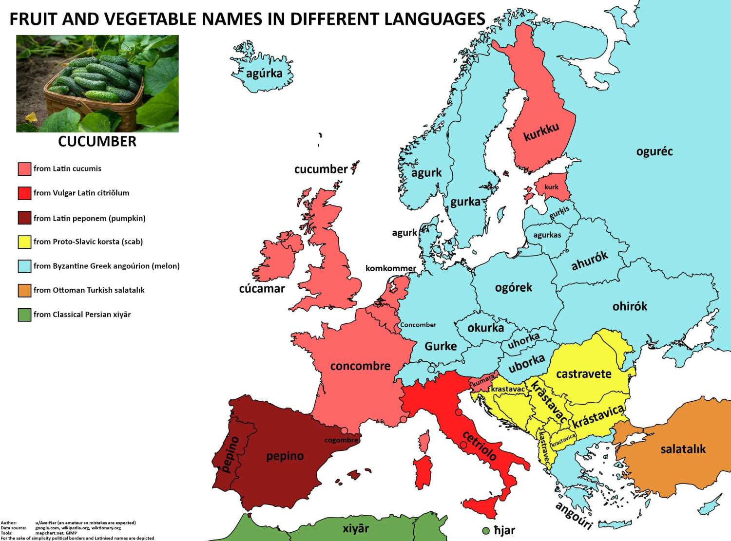 The word 'cucumber' in European languages.