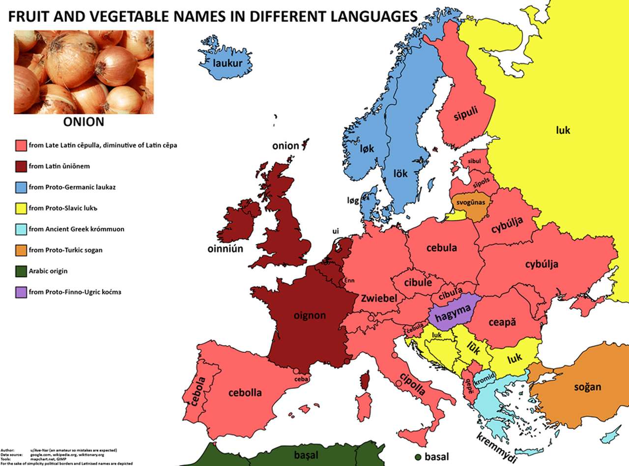 The word 'onion' in European languages.