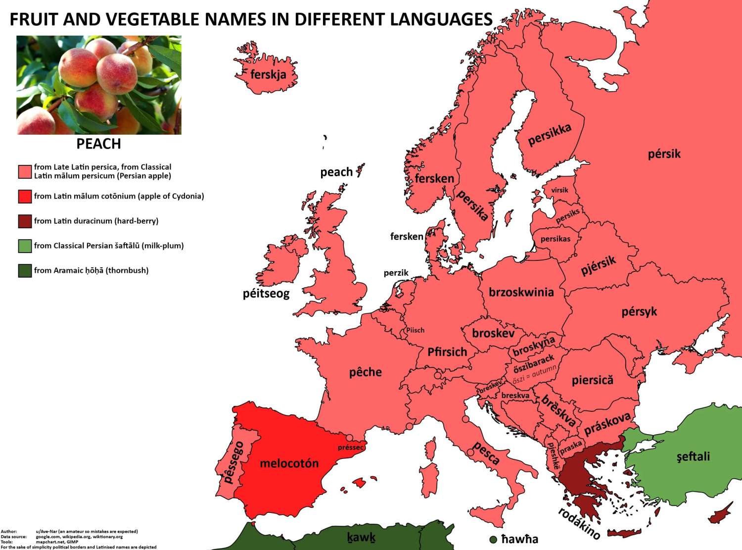 The word 'peach' in European languages.