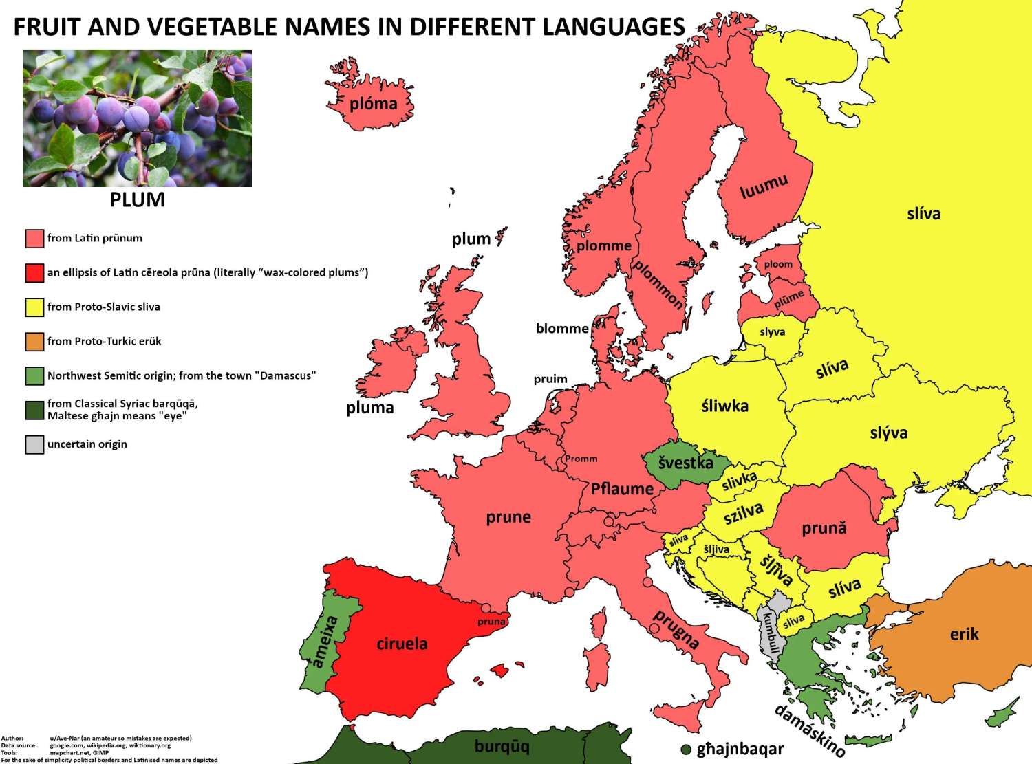 The word 'plum' in European languages.