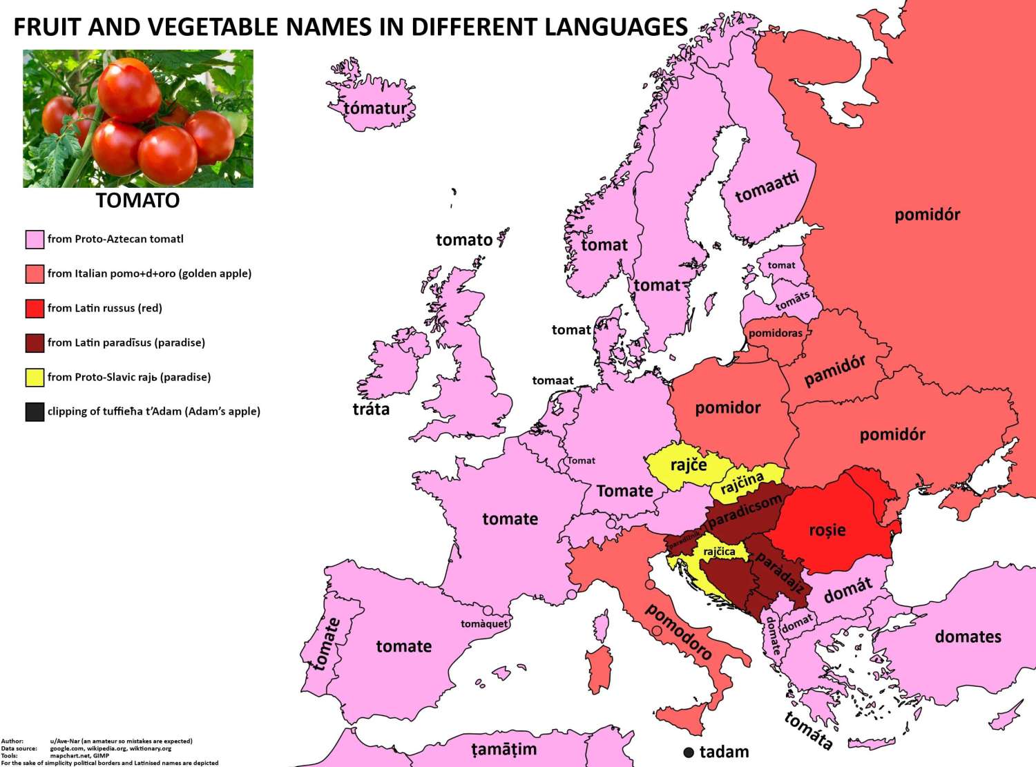 The word 'tomato' in European languages.