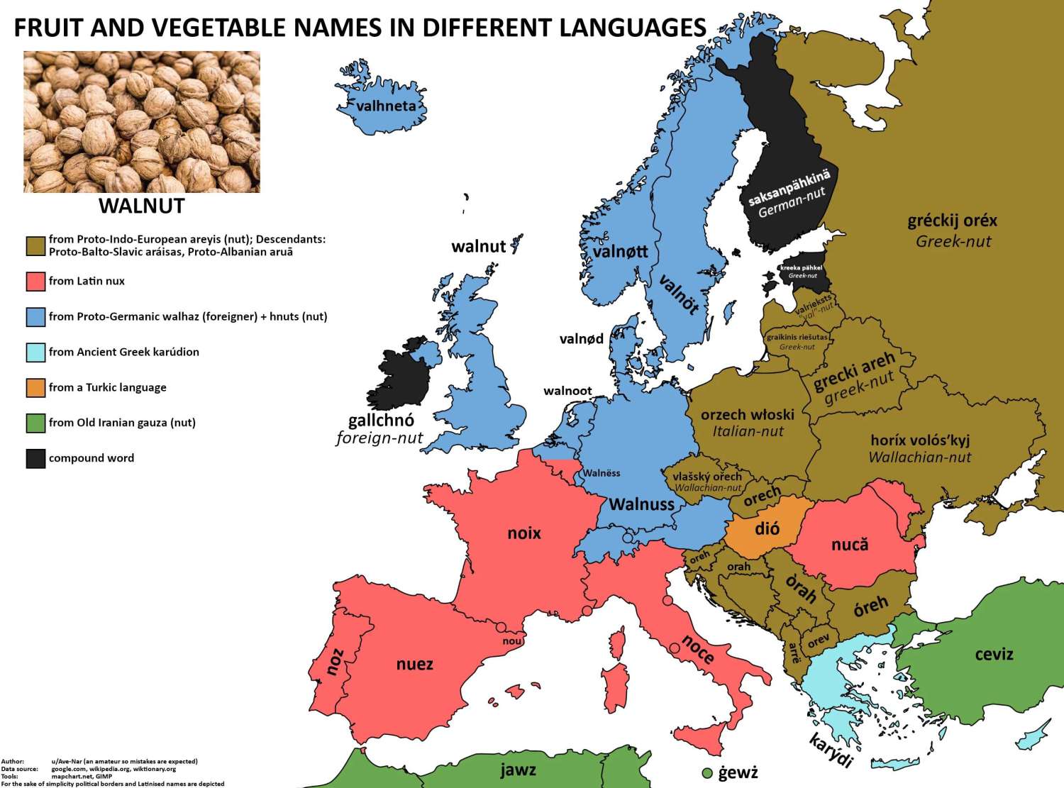 The word 'walnut' in European languages.