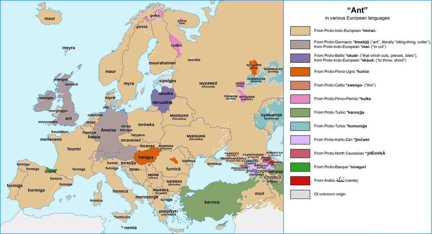 "Ant" in various European languages