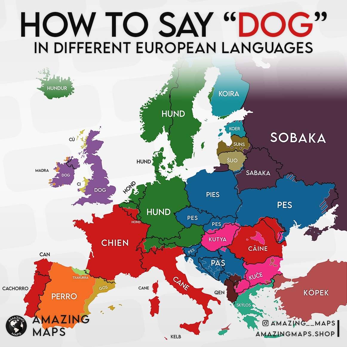 How to say dog in different European languages