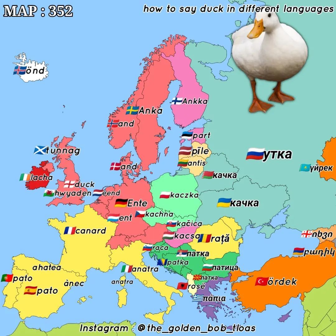 How to say “duck” in European languages?