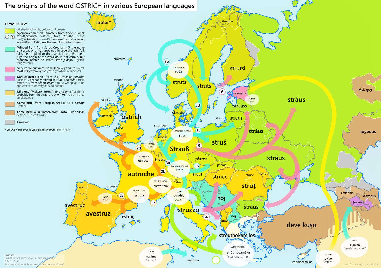 The origins of the word 'ostrich' in various European languages