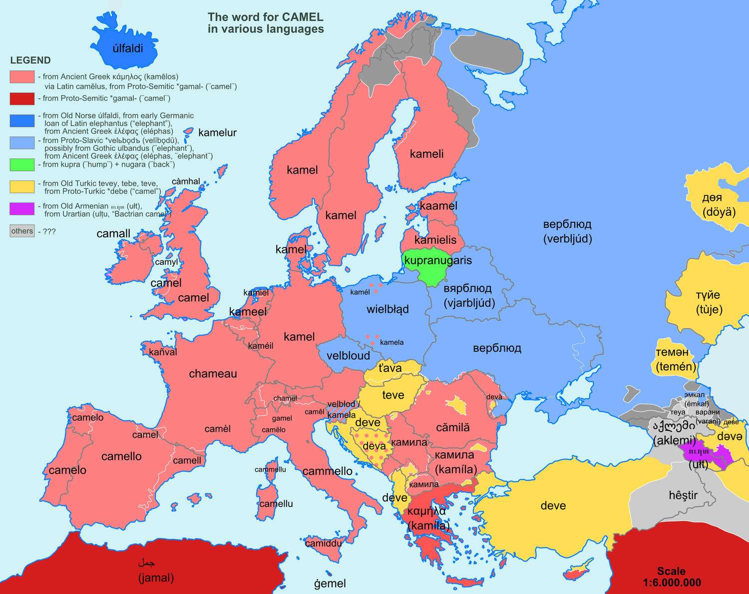 The word "Camel" in European languages