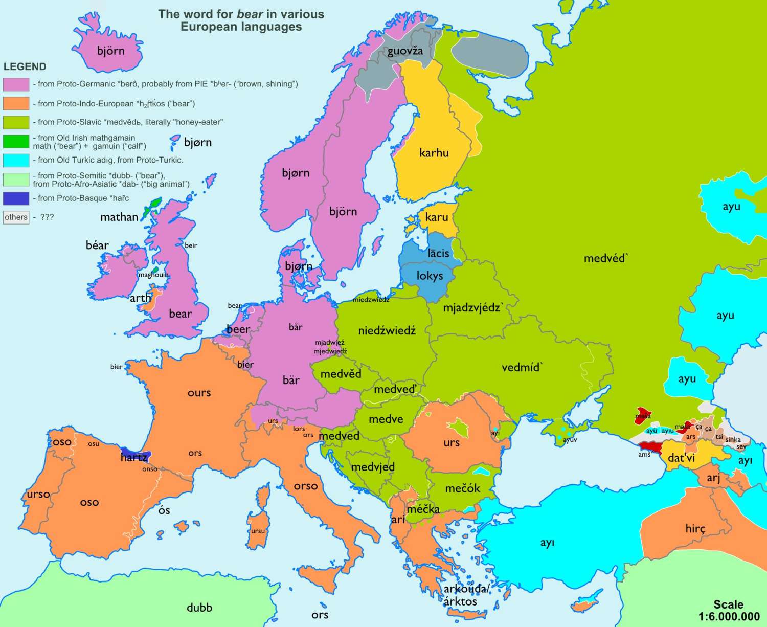 The word for "bear" (animal) in various European languages