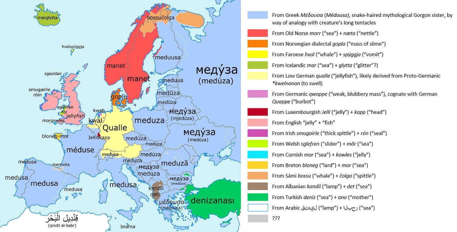 The word "Jellyfish" in various European languages