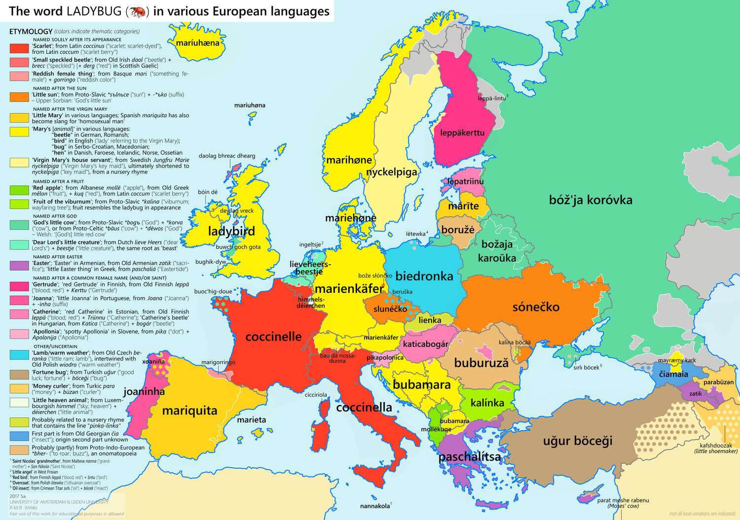 The word 'ladybug' in various European languages