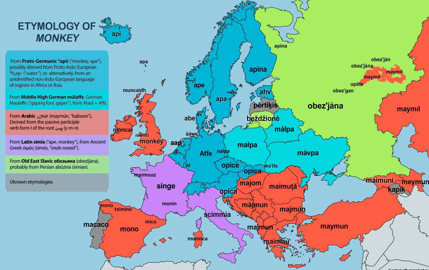 The word "monkey" in European languages