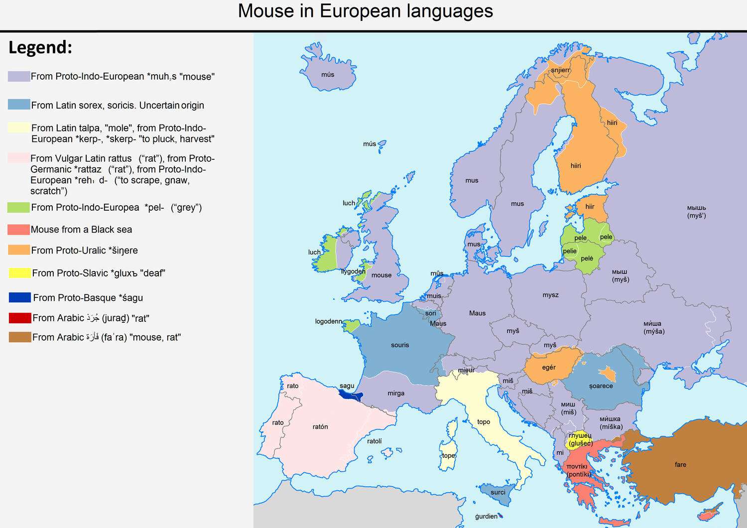 The word "mouse" (animal) in European languages