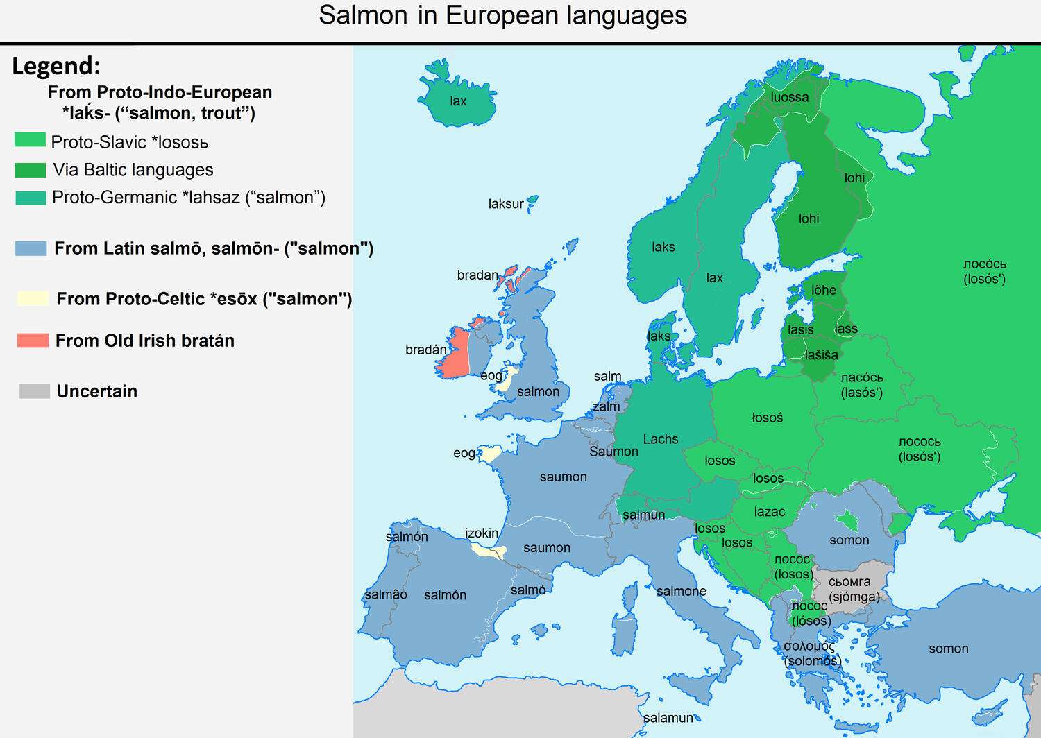 The word "salmon in European languages