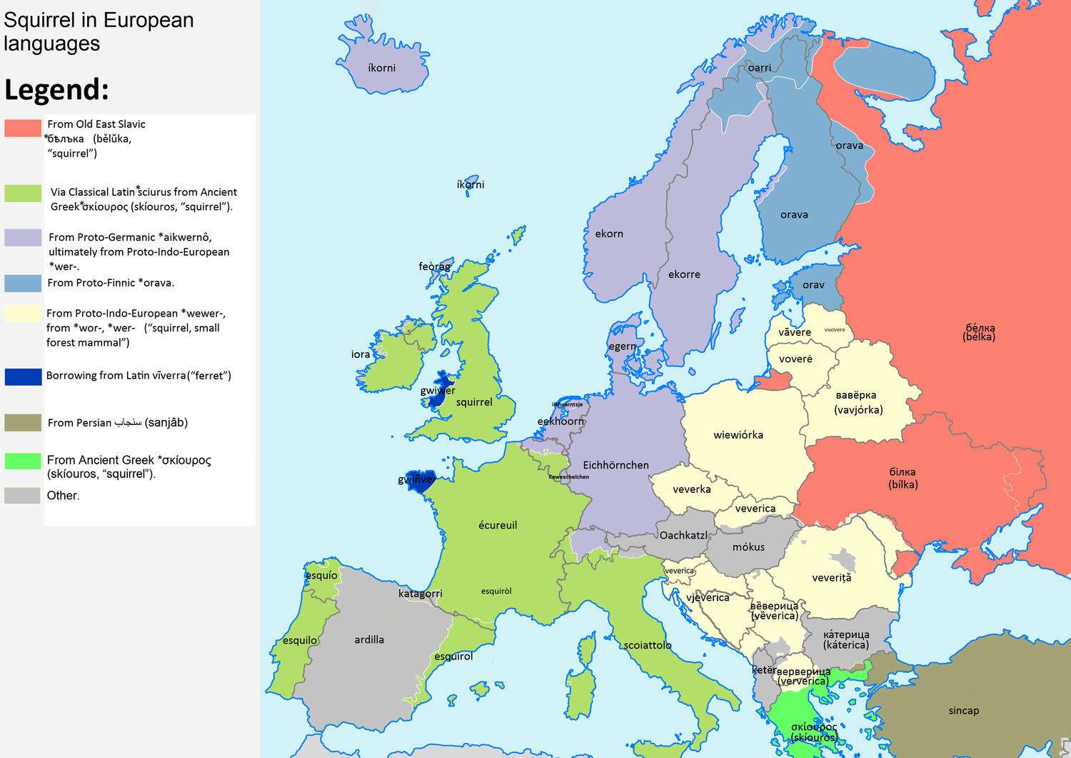 The word "squirrel" in European languages