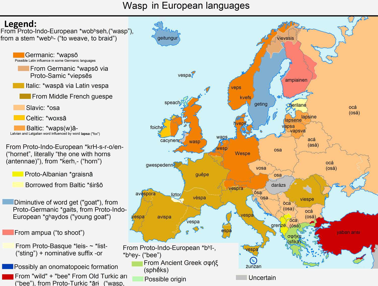 The word "wasp" in European languages