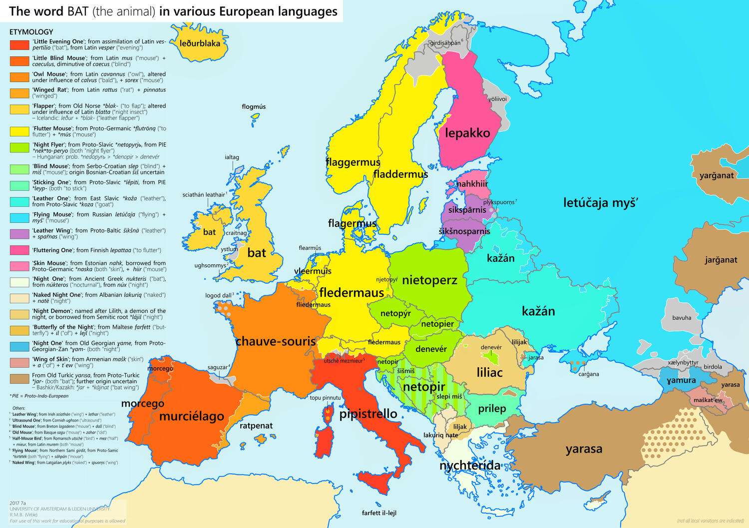 'Winged Rat', 'Blind Mouse', 'Butterfly of the Night' – the word 'bat' in various European languages