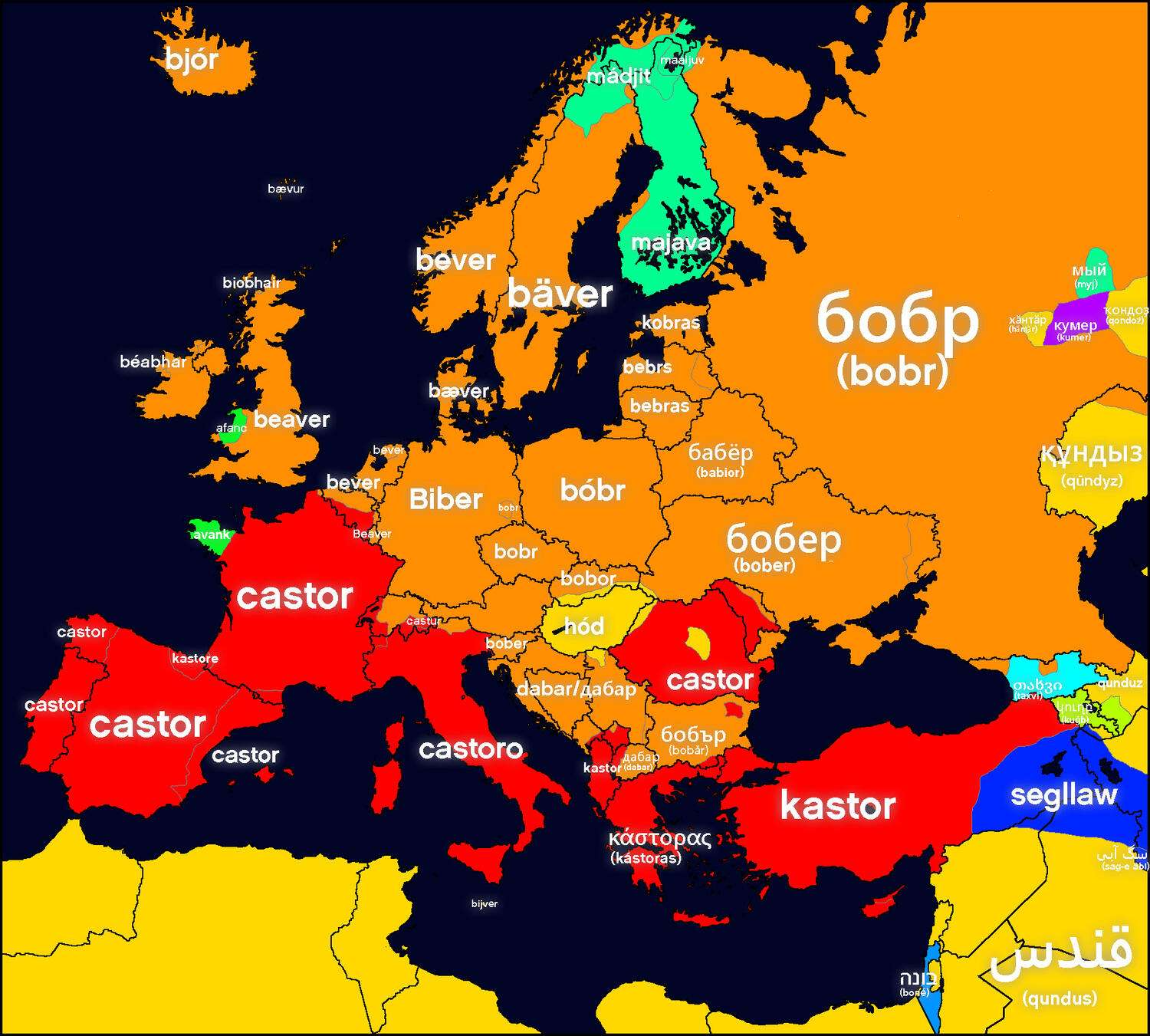 Word for beaver in Europe