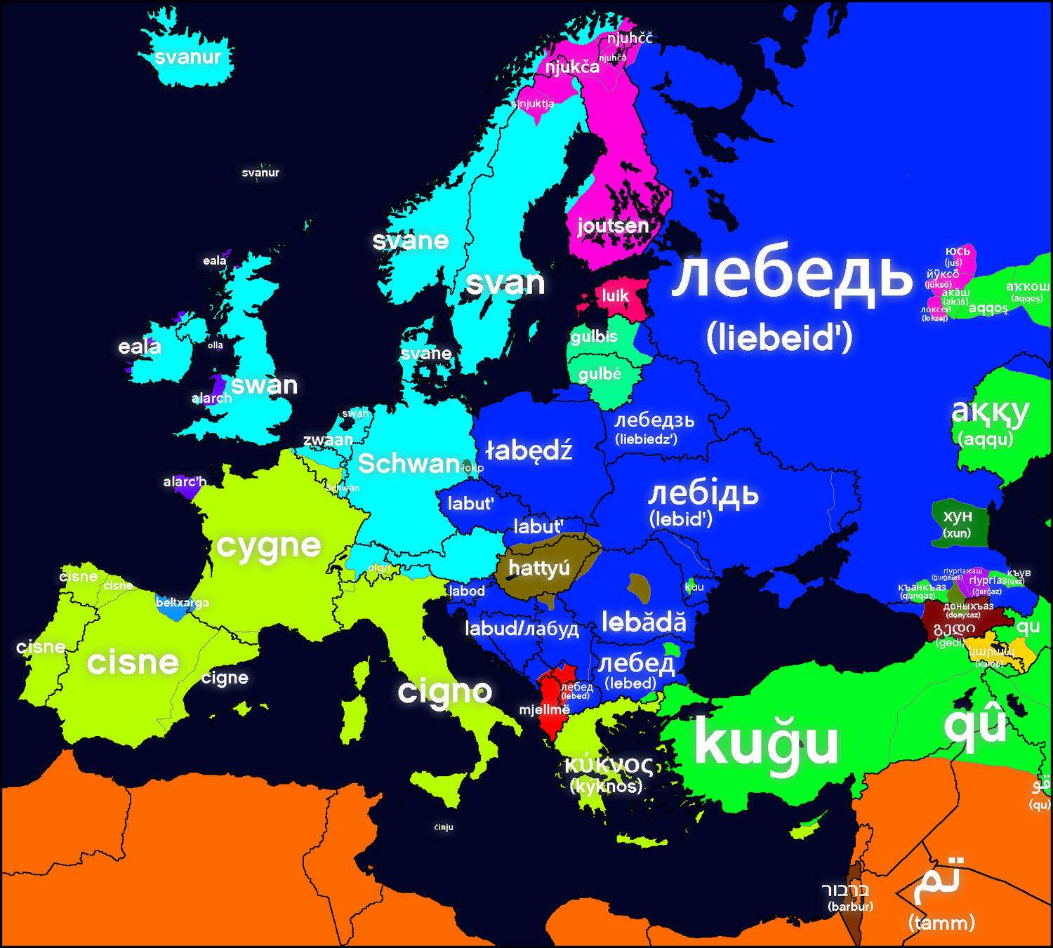 Word for swan in Europe