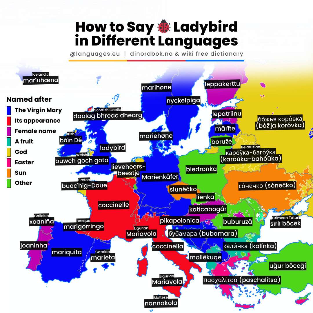 How to say "ladybird" in European languages
