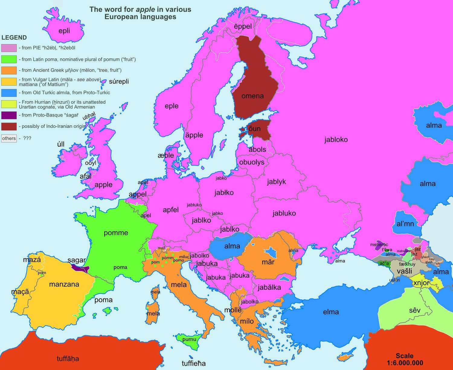 The word "apple" in various European languages