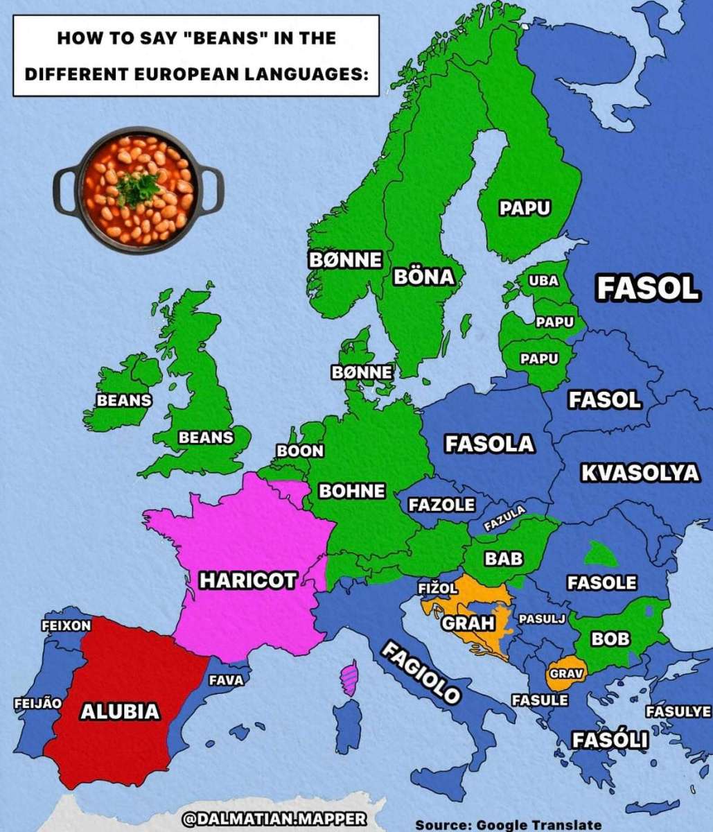 The word for beans in European languages