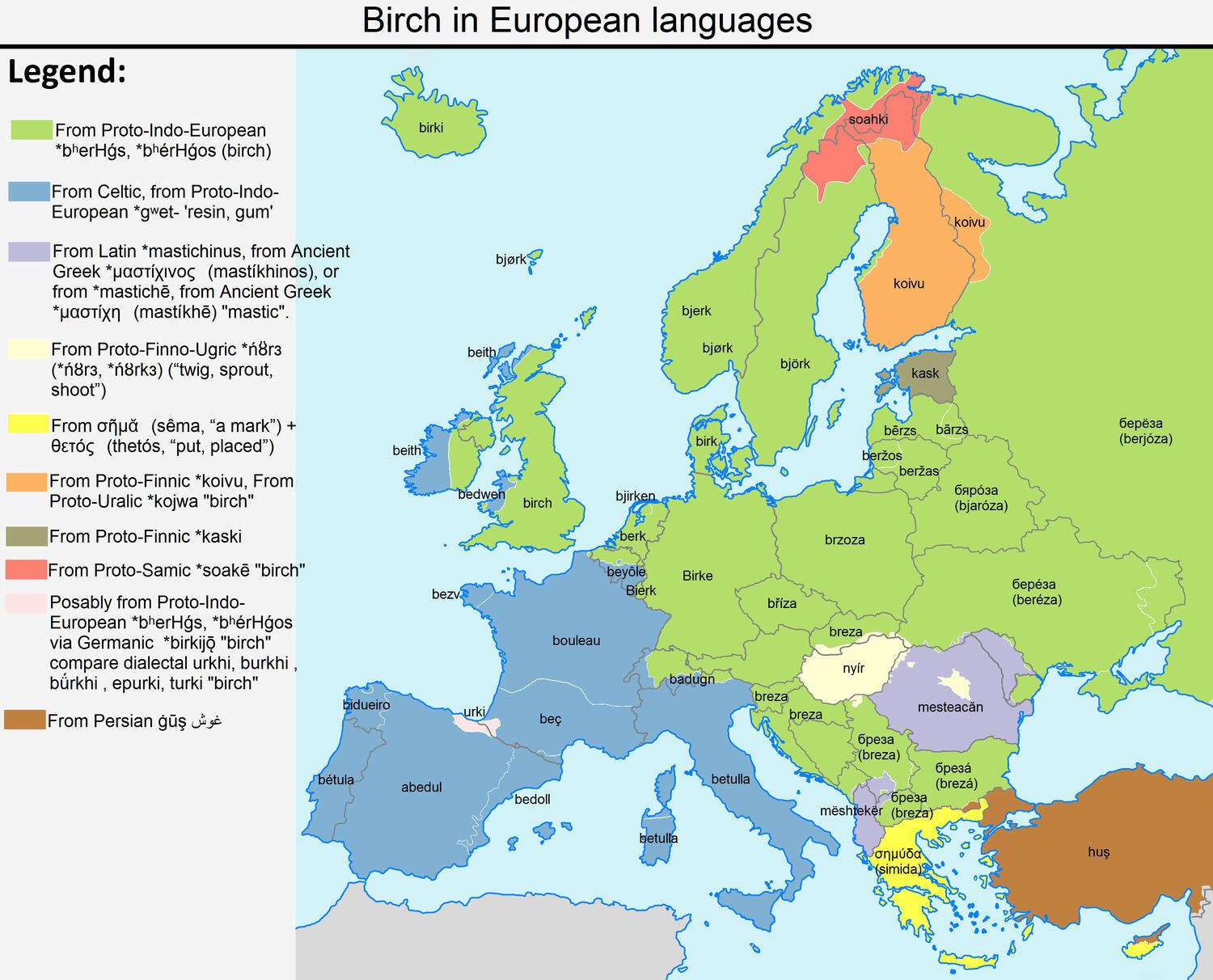 The word Birch in European languages