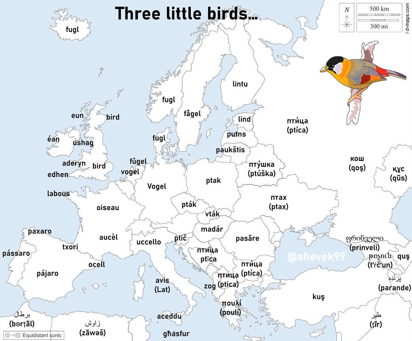 The word "bird" in European languages