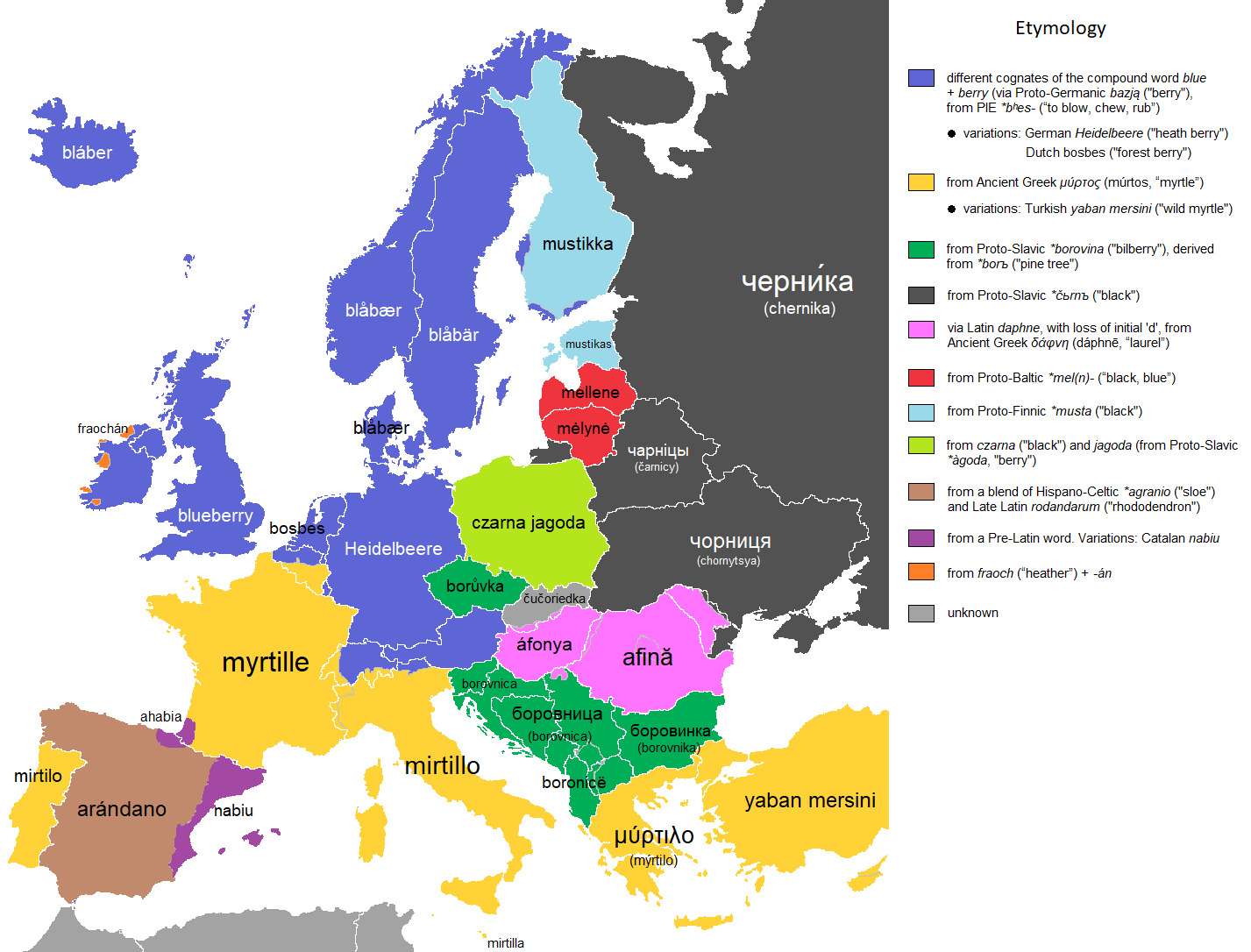The word "blueberry" in European languages