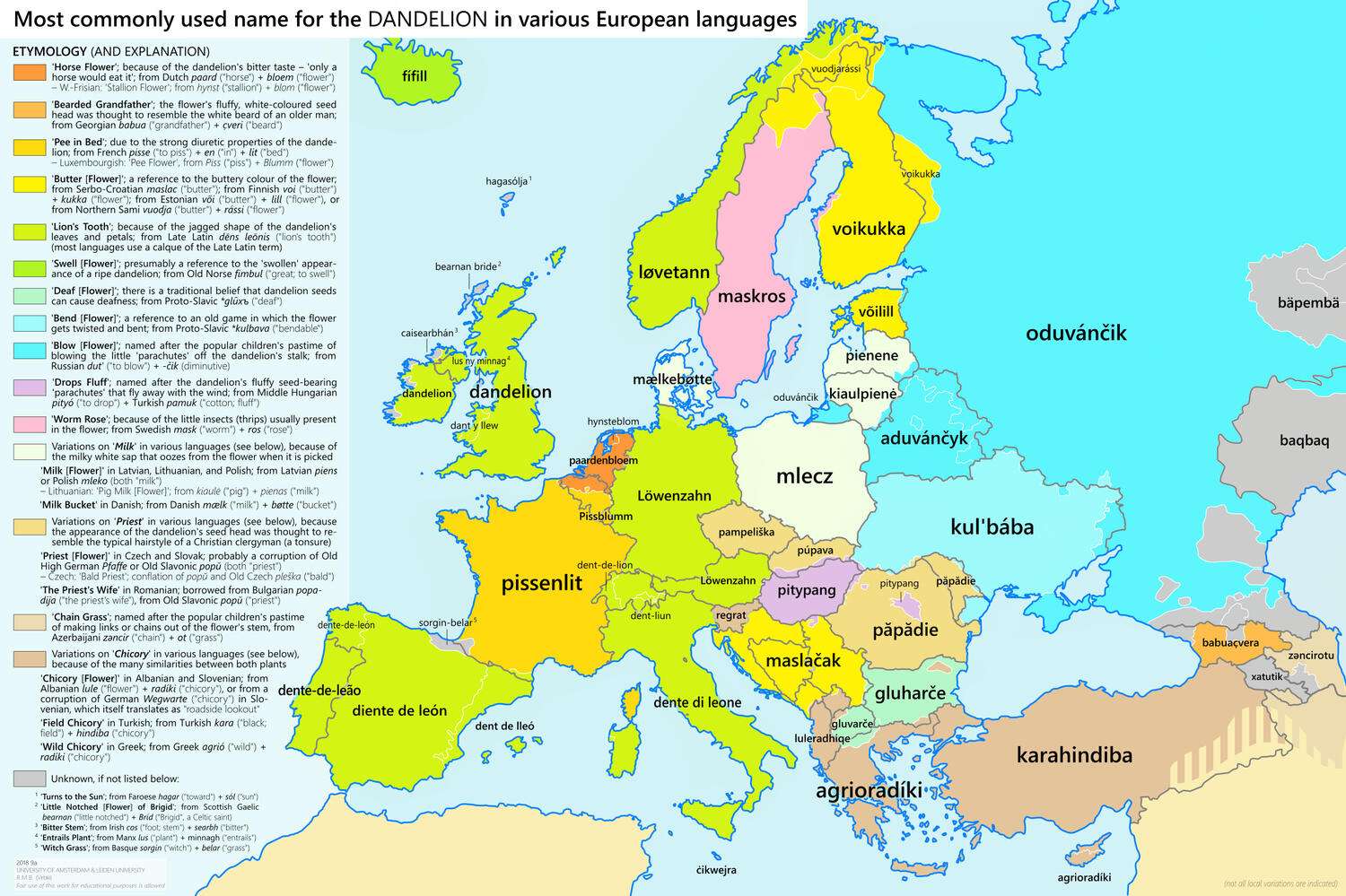 The word 'dandelion' in various European languages