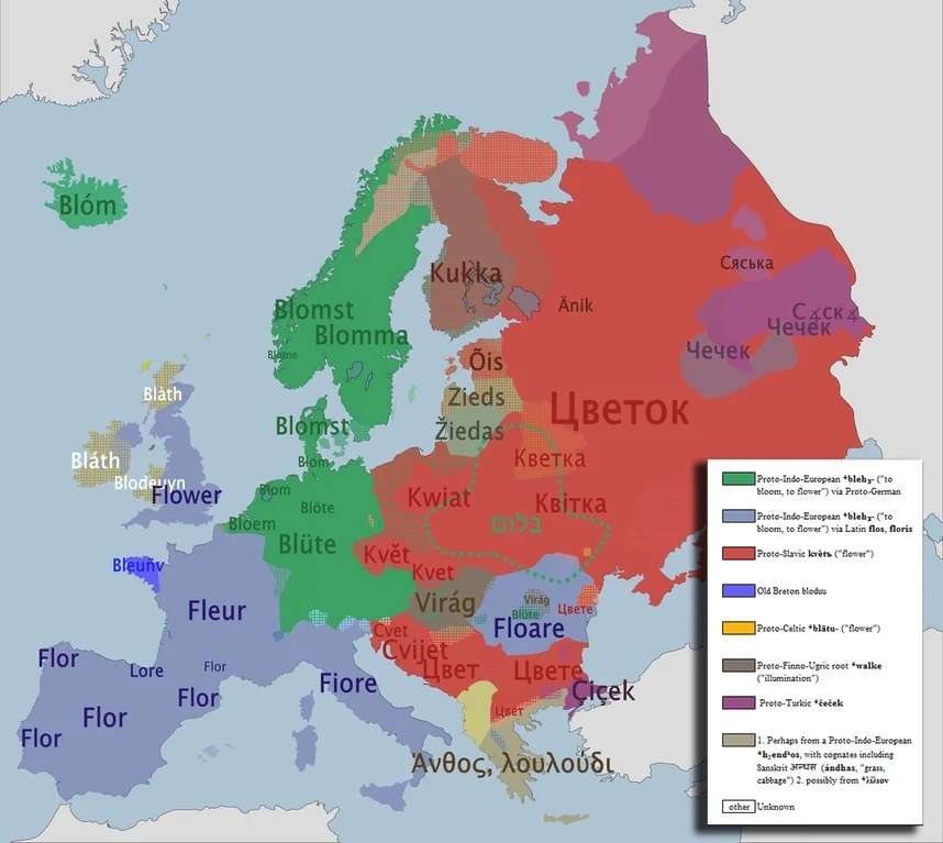 The word "flower" in European languages