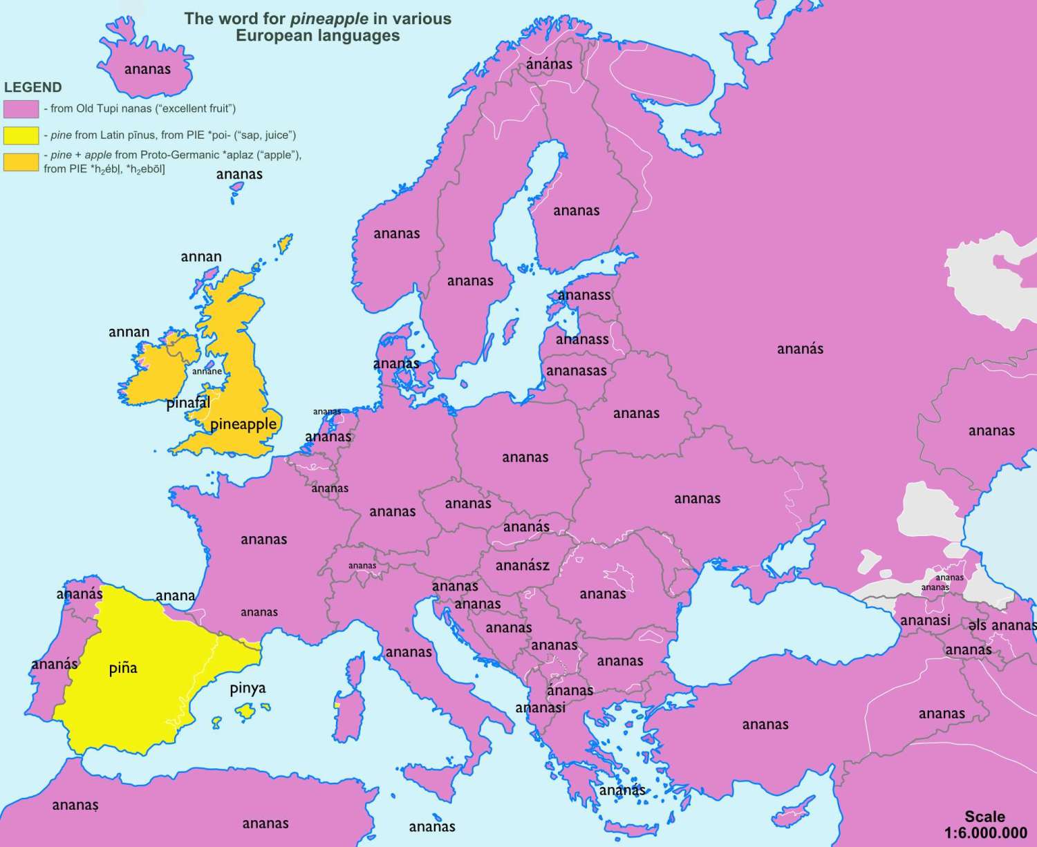 The word for "pineapple" in various European languages