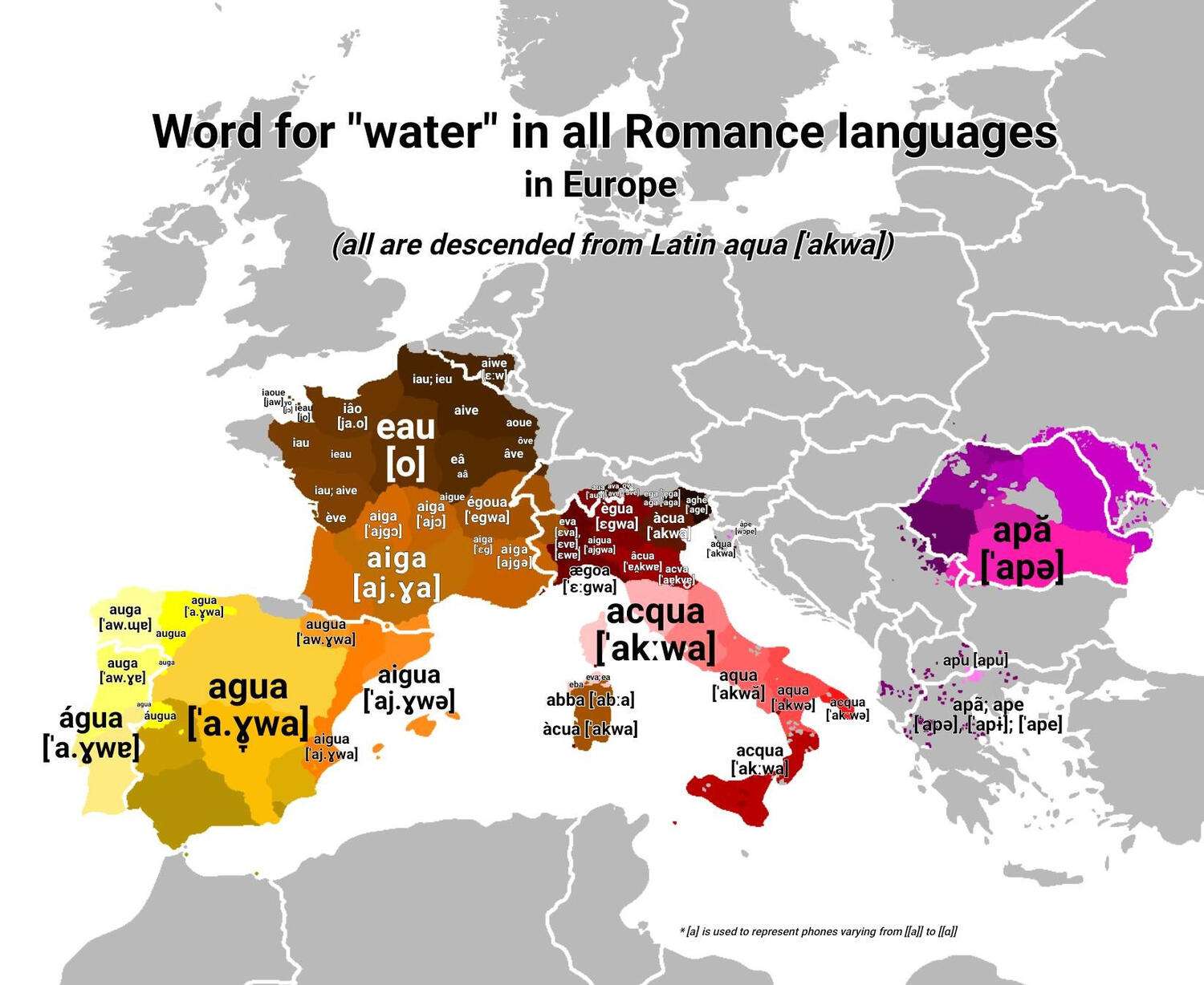 The word for water in all european Romance languages and dialects