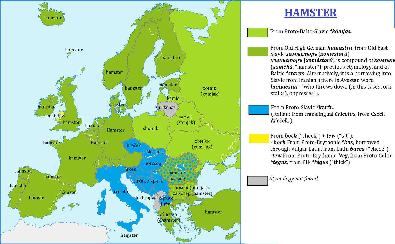 The word "hamster" in European languages