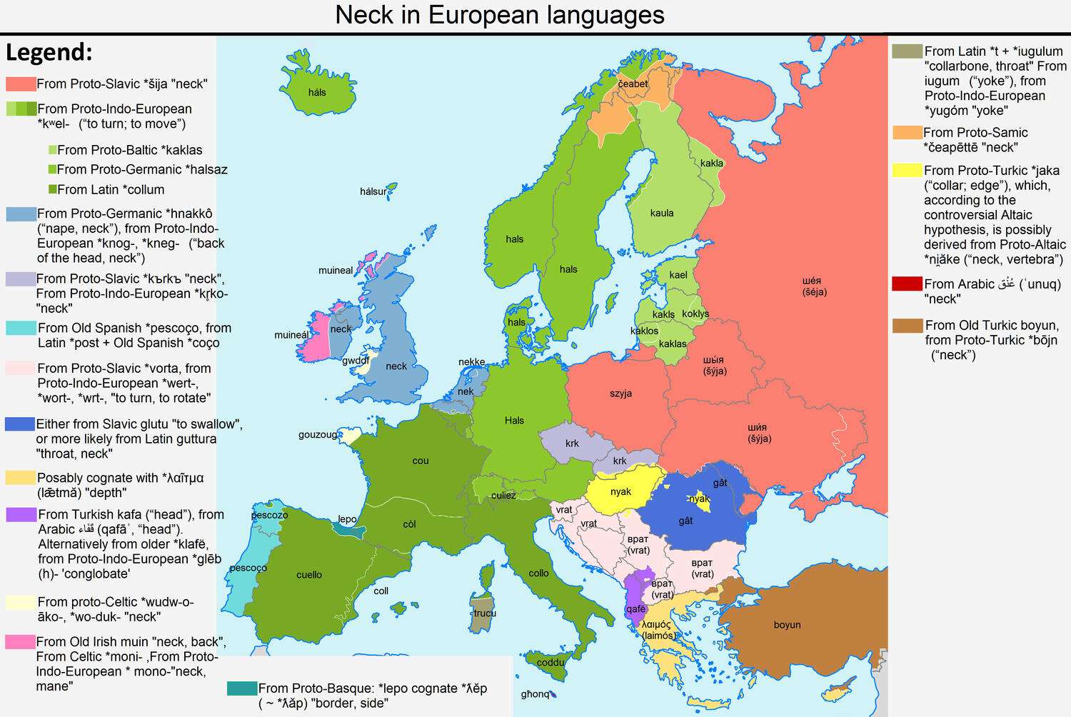 The word Neck in European languages