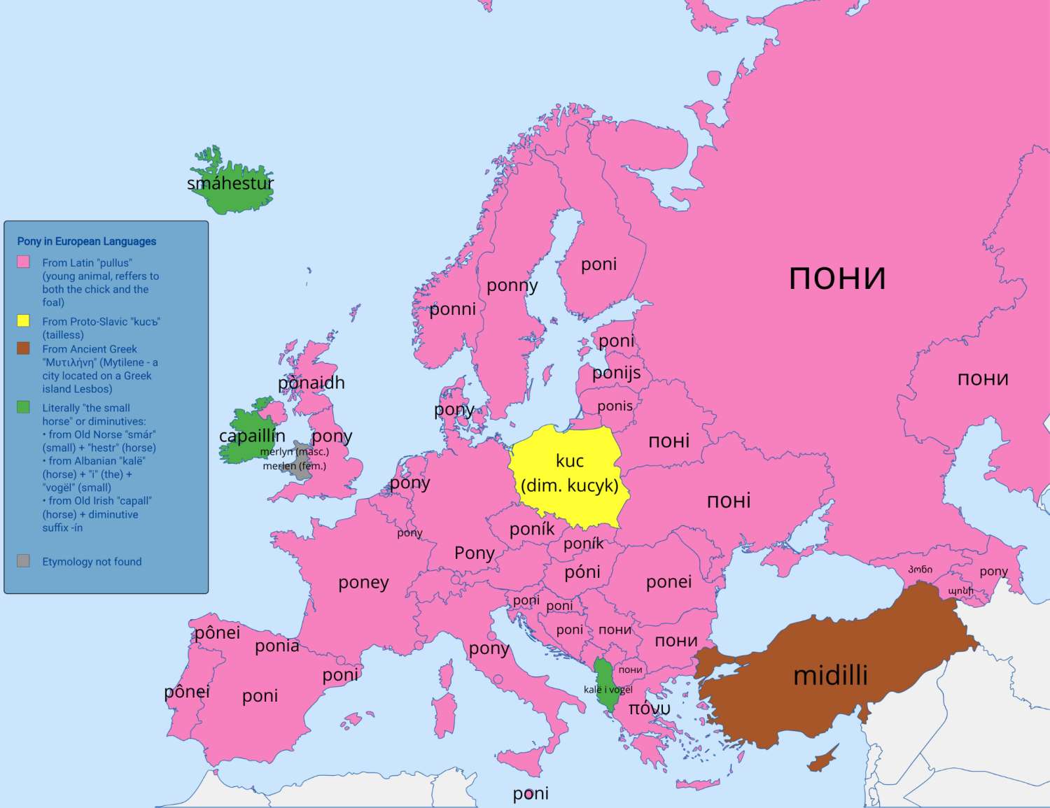 The word Pony in European languages