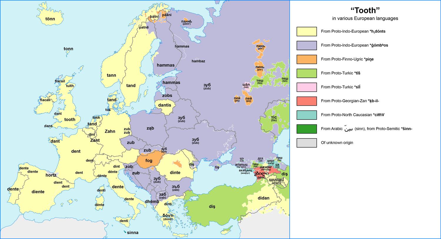 "Tooth" in various European languages