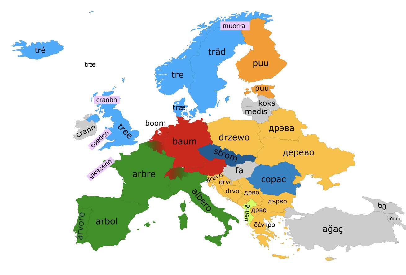 "Tree" in different European languages